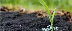 Fertilizers